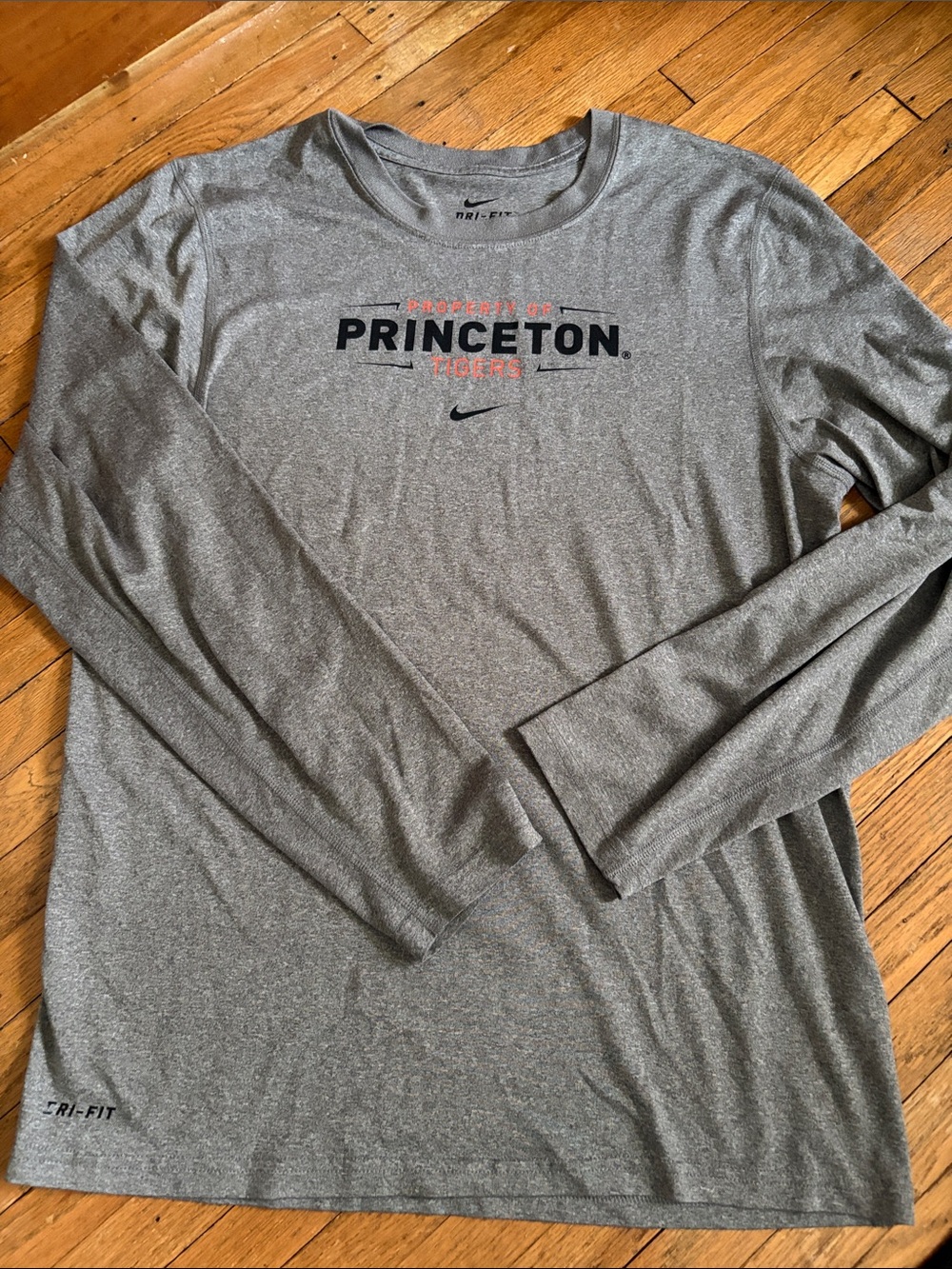 Nike Gray Princeton Tigers Long Sleeve Dri-FIT Tee